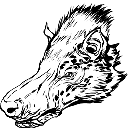 Andrewsarco