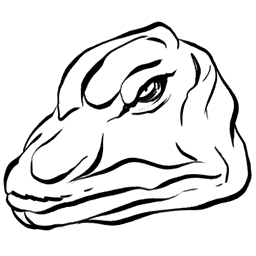 Bronto R