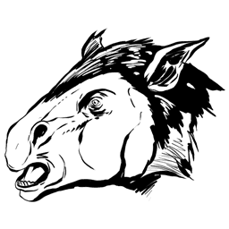 Calicoterio
