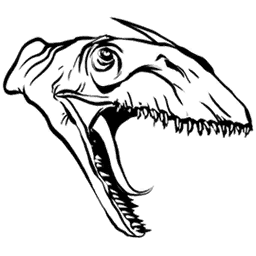 Dimorfodonte