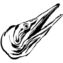 Ictiosaurio