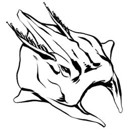 Manta