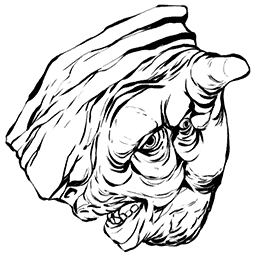 Megachelon