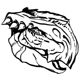 Morellatops