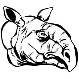 Paracer Aberrante