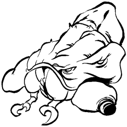 Escorpión Gigante