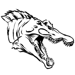 Spino Aberrante