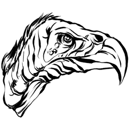 Buitre